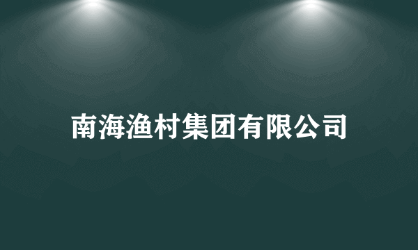 南海渔村集团有限公司