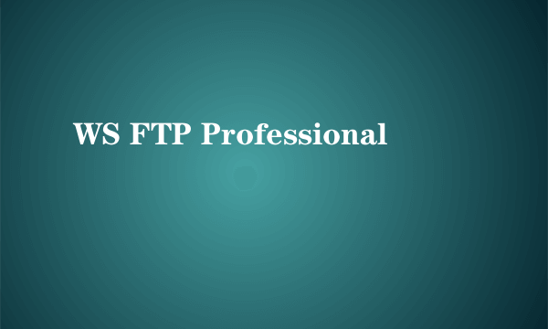 WS FTP Professional