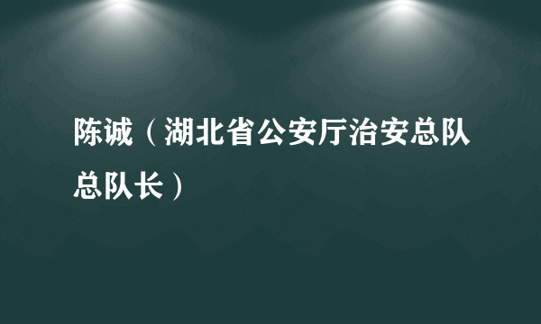 陈诚（湖北省公安厅治安总队总队长）