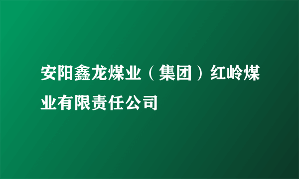 安阳鑫龙煤业（集团）红岭煤业有限责任公司