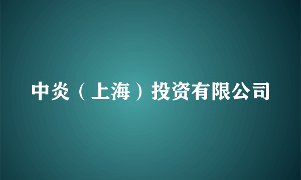 中炎（上海）投资有限公司