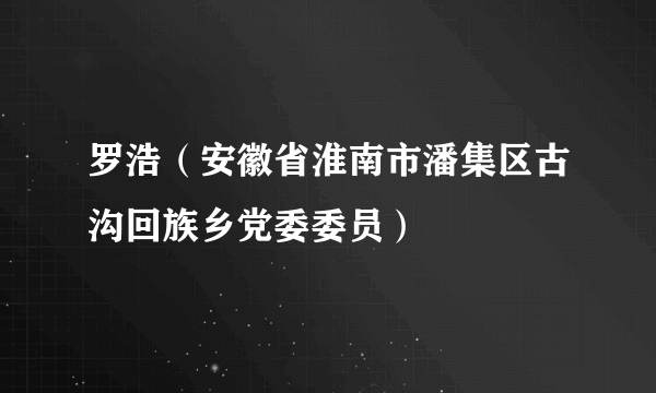 罗浩（安徽省淮南市潘集区古沟回族乡党委委员）