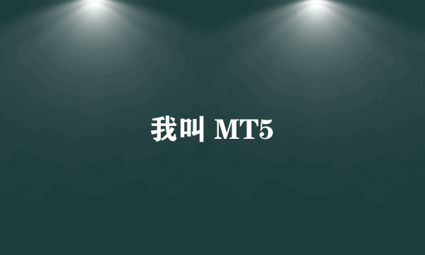 我叫 MT5