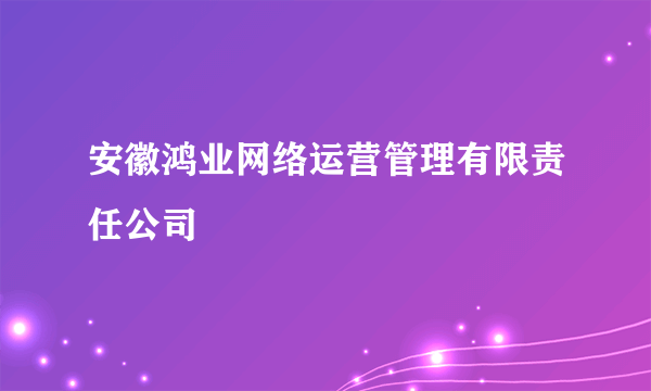 安徽鸿业网络运营管理有限责任公司