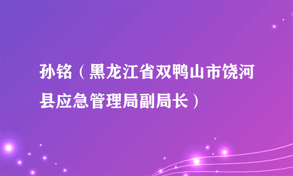 孙铭（黑龙江省双鸭山市饶河县应急管理局副局长）