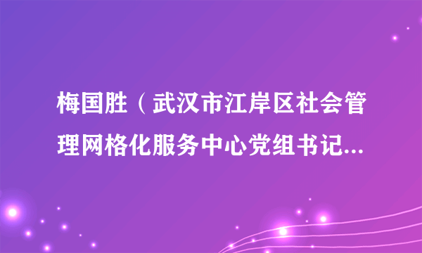 梅国胜（武汉市江岸区社会管理网格化服务中心党组书记、主任）