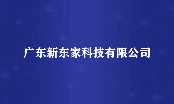 广东新东家科技有限公司