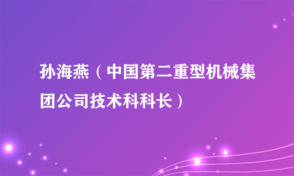 孙海燕（中国第二重型机械集团公司技术科科长）