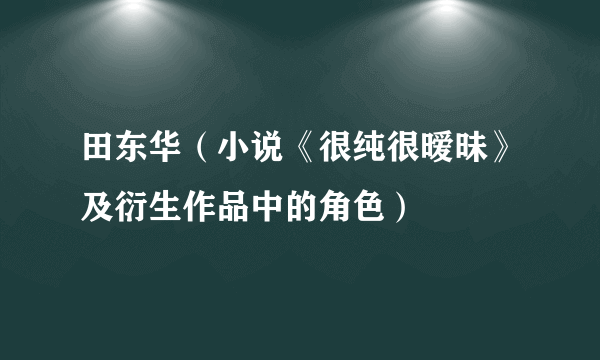 田东华（小说《很纯很暧昧》及衍生作品中的角色）