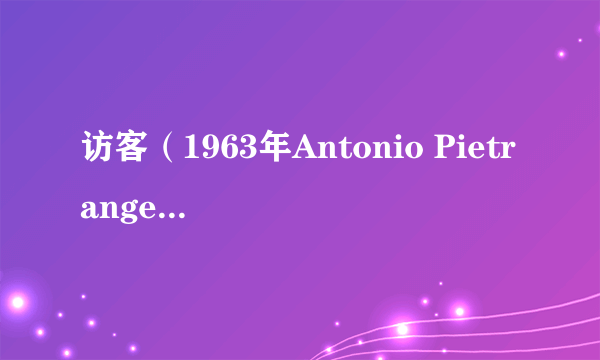 访客（1963年Antonio Pietrangeli执导电影）