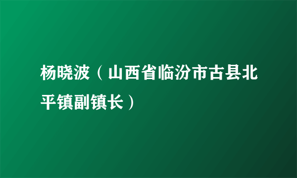 杨晓波（山西省临汾市古县北平镇副镇长）