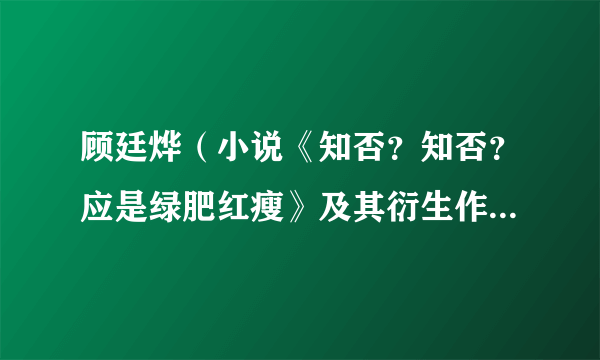 顾廷烨（小说《知否？知否？应是绿肥红瘦》及其衍生作品中的男主角）