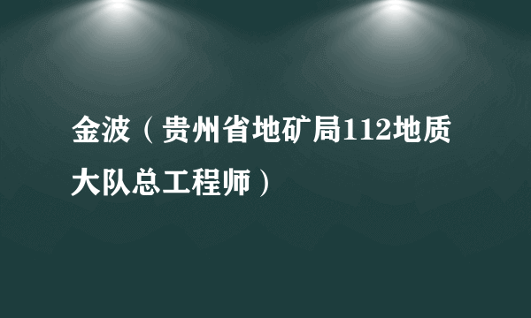 金波（贵州省地矿局112地质大队总工程师）