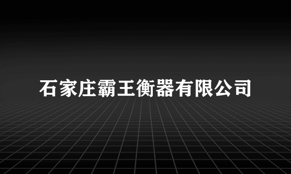 石家庄霸王衡器有限公司