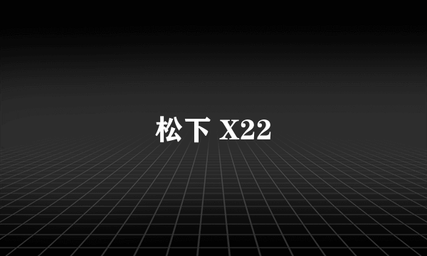 松下 X22