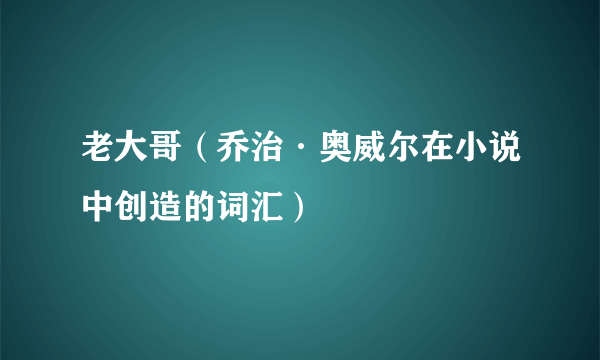 老大哥（乔治·奥威尔在小说中创造的词汇）