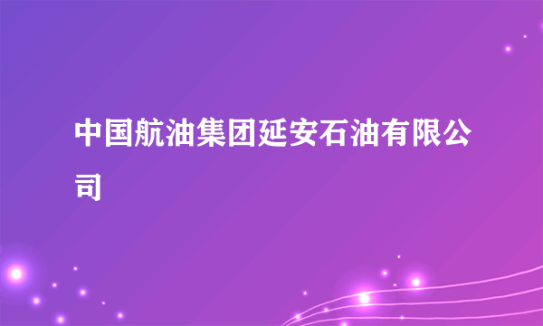 中国航油集团延安石油有限公司