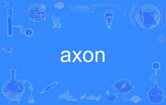 axon