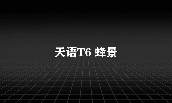 天语T6 蜂景