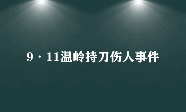 9·11温岭持刀伤人事件