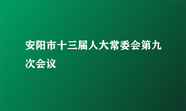 安阳市十三届人大常委会第九次会议