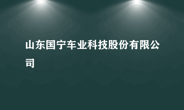 山东国宁车业科技股份有限公司