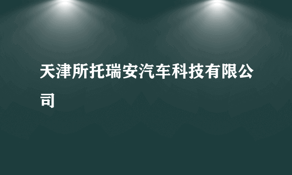 天津所托瑞安汽车科技有限公司