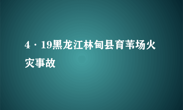 4·19黑龙江林甸县育苇场火灾事故