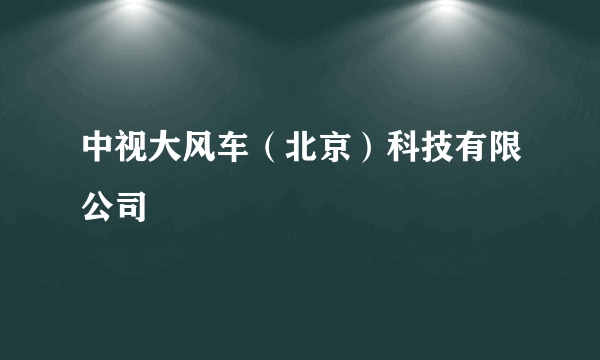 中视大风车（北京）科技有限公司