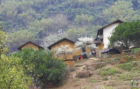 杨林村（湖北省武穴市石佛寺镇下辖村）