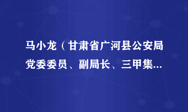 马小龙（甘肃省广河县公安局党委委员、副局长、三甲集派出所所长）