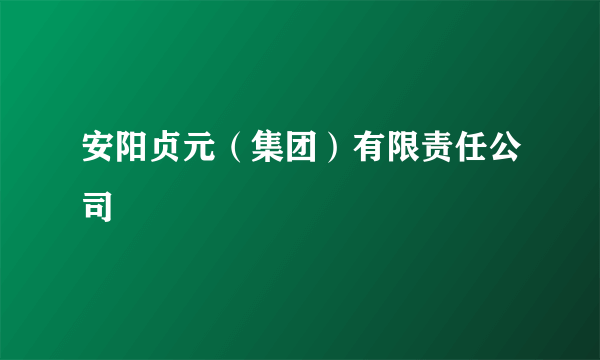 安阳贞元（集团）有限责任公司