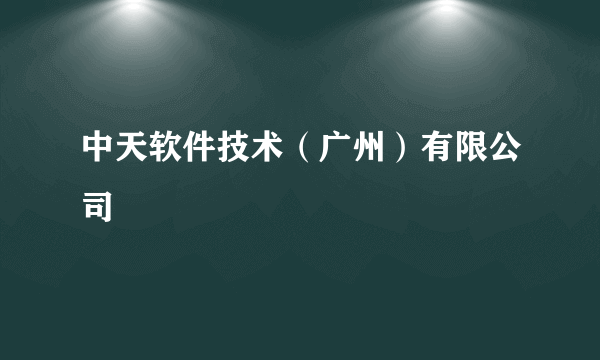 中天软件技术（广州）有限公司