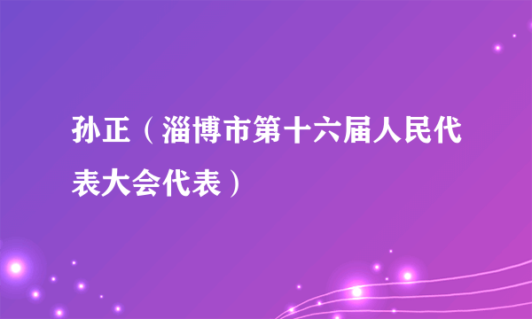 孙正（淄博市第十六届人民代表大会代表）