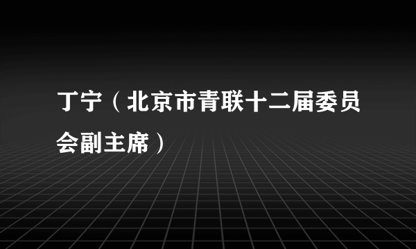 丁宁（北京市青联十二届委员会副主席）