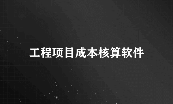 工程项目成本核算软件