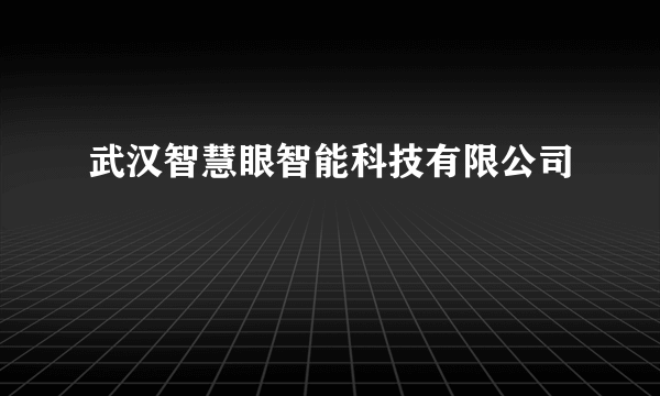 武汉智慧眼智能科技有限公司