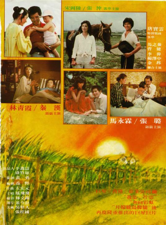 一颗红豆（1978年林青霞、秦汉主演的电影）