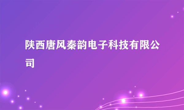 陕西唐风秦韵电子科技有限公司