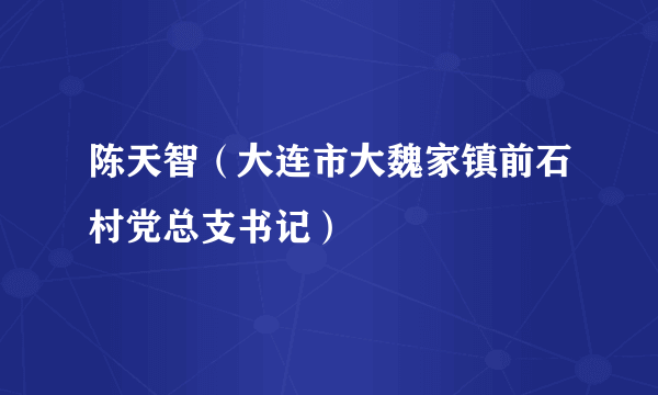 陈天智（大连市大魏家镇前石村党总支书记）