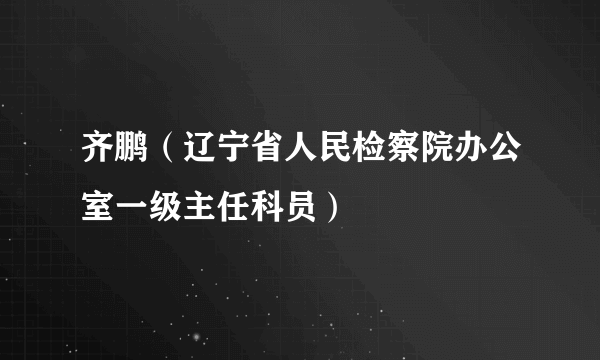 齐鹏（辽宁省人民检察院办公室一级主任科员）