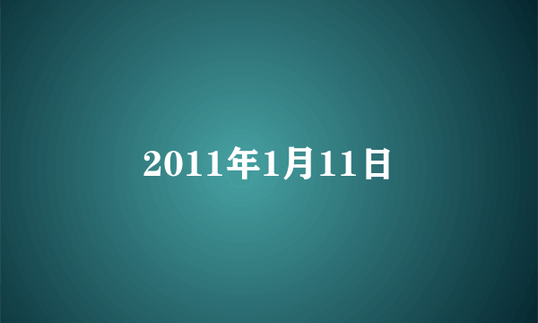 2011年1月11日