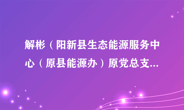 解彬（阳新县生态能源服务中心（原县能源办）原党总支书记、主任）