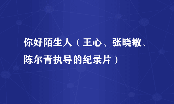 你好陌生人（王心、张晓敏、陈尔青执导的纪录片）