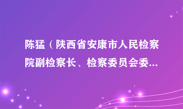 陈猛（陕西省安康市人民检察院副检察长、检察委员会委员、检察员）