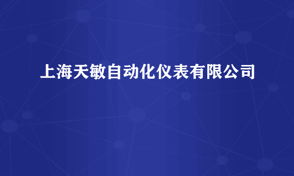 上海天敏自动化仪表有限公司