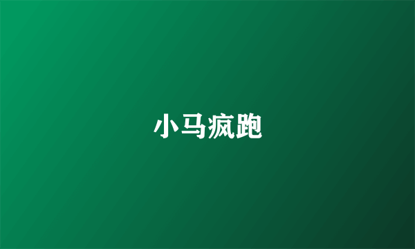 小马疯跑