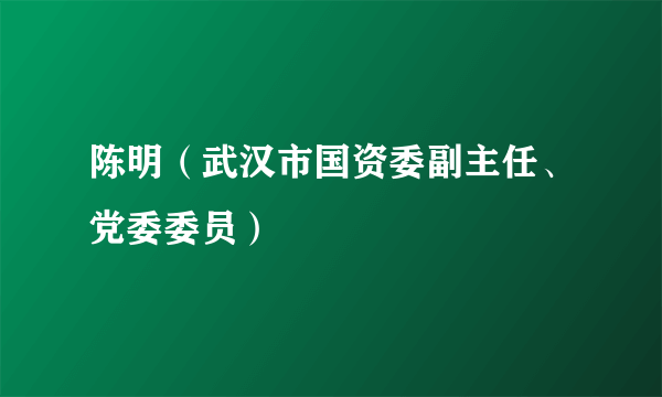 陈明（武汉市国资委副主任、党委委员）