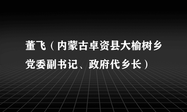 董飞（内蒙古卓资县大榆树乡党委副书记、政府代乡长）