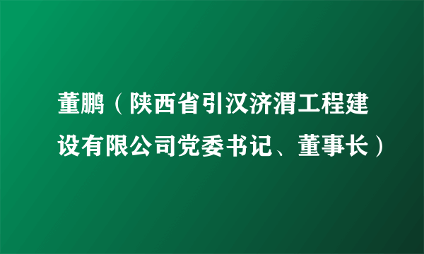 董鹏（陕西省引汉济渭工程建设有限公司党委书记、董事长）